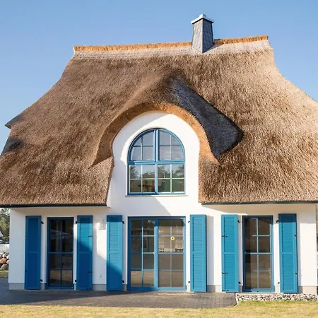 Schilfrohrsaenger 8 Fuhlendorf (Mecklenburg-Vorpommern)