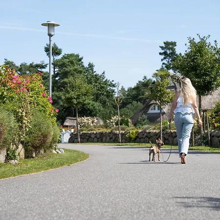 Schilfrohrsaenger 8 Feriehus *