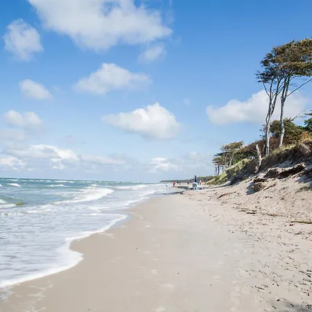 Schilfrohrsaenger 8 Feriehus