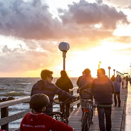 Schilfrohrsaenger 8 *