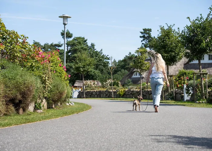 Schilfrohrsaenger 8 펜션 *