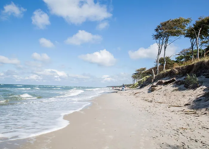 Schilfrohrsaenger 8 펜션