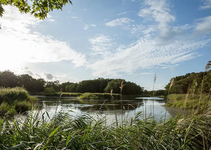 Schilfrohrsaenger 8 풀렌도르프