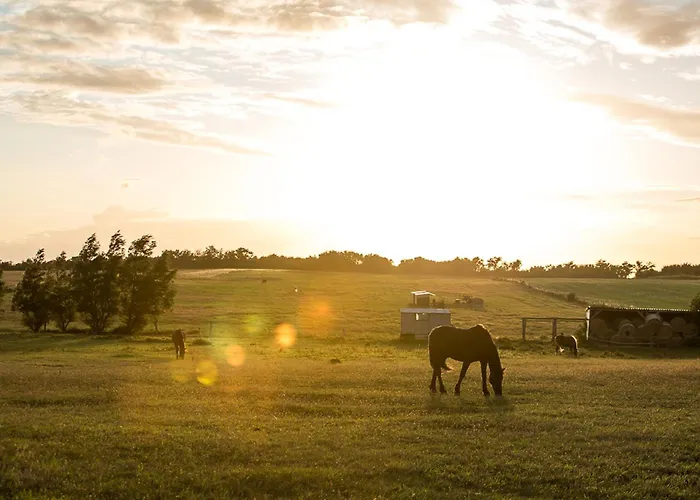 Schilfrohrsaenger 8 펜션